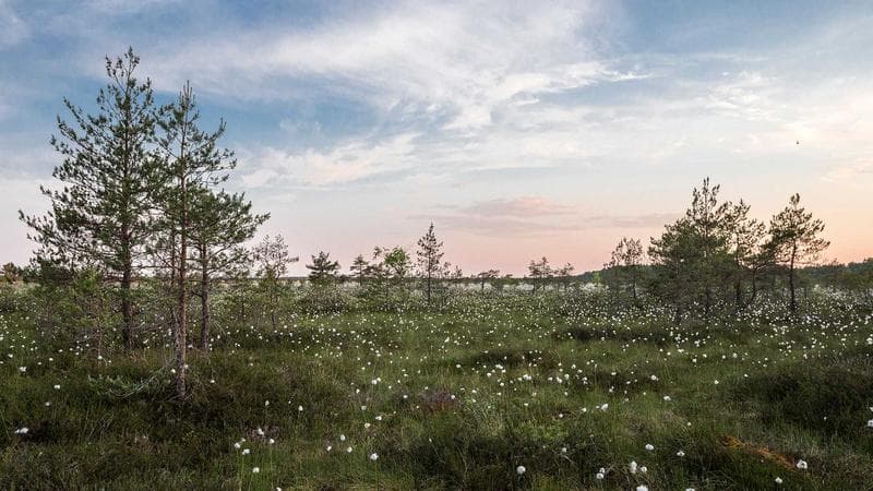 Burdur'da Doğalgaz Aboneliği Artıyor