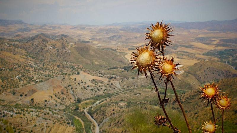 Burdur'da Çocuk Tiyatro Festivali