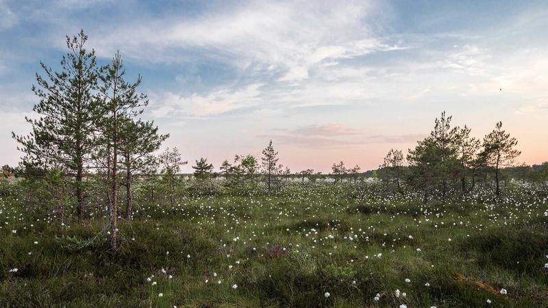 Burdur'da Doğalgaz Aboneliği Artıyor