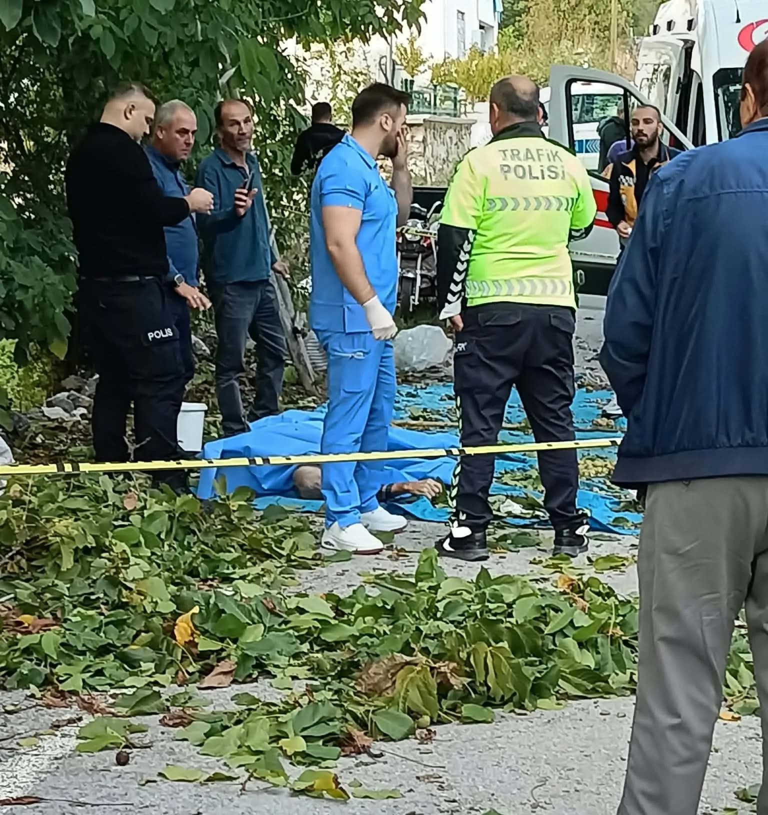 Ağlasun’da Feci Kaza: Ceviz Ağacından Düşen 78 Yaşındaki Adam Hayatını Kaybetti.