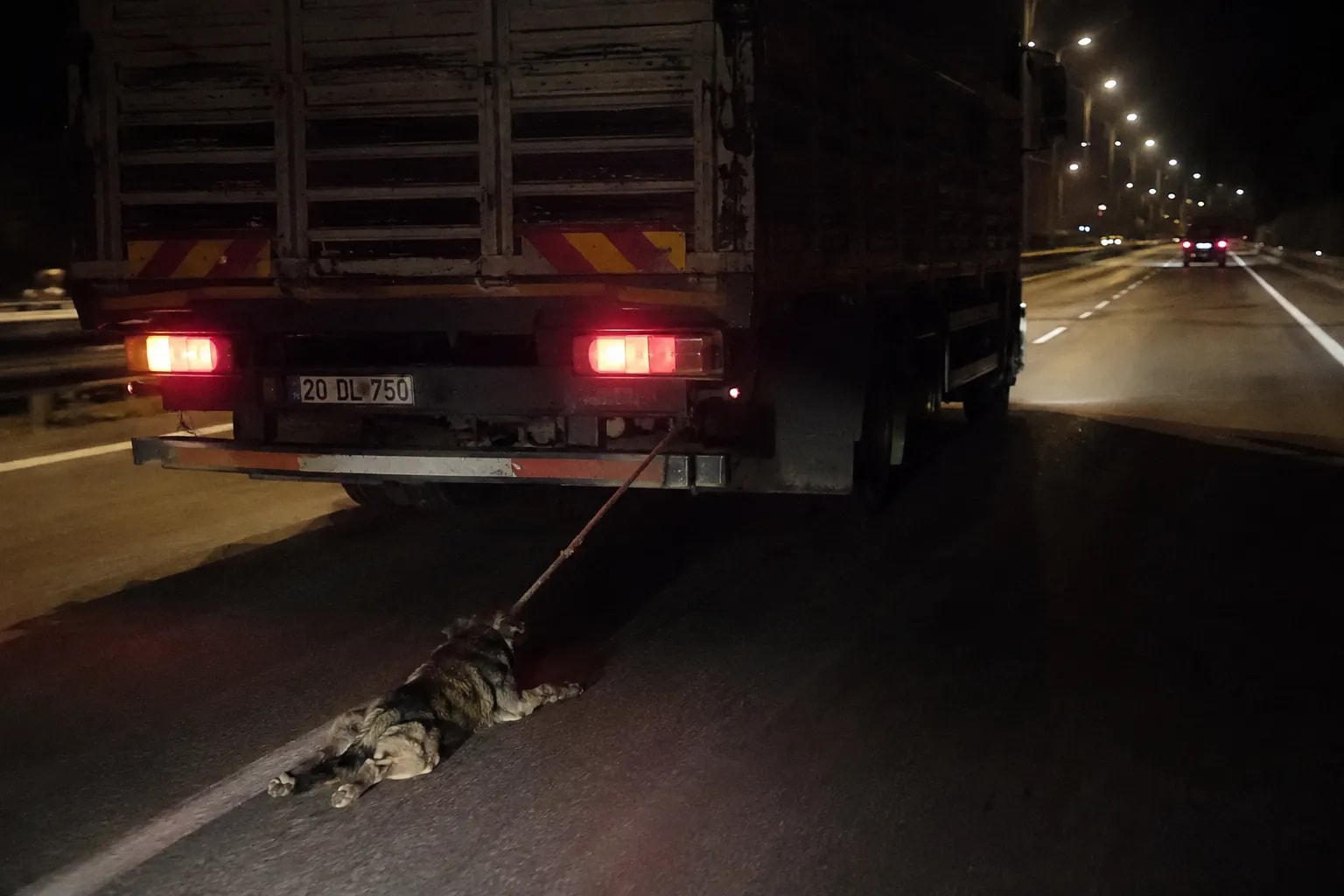 Bu kadar da olmaz : Köpeği Kamyonetin Arkasına Bağlayıp Sürüklediler
