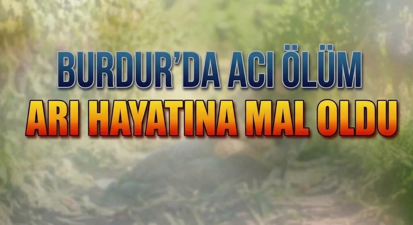 BURDUR’DA ACI ÖLÜM! ÜZÜM TOPLARKEN ARI SOKTU.