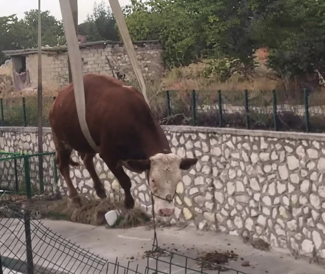 FUKARANIN YÜZÜ HİÇ GÜLÜR MÜ ?