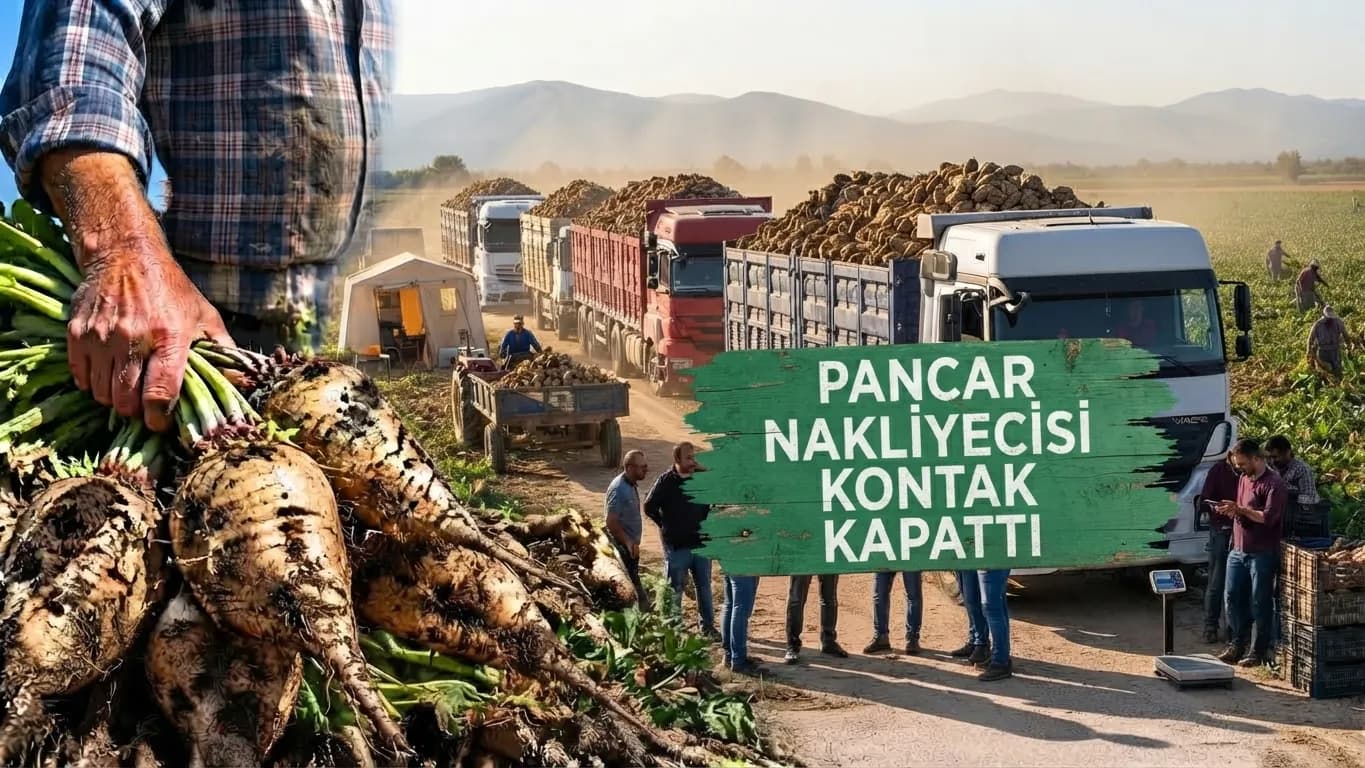 BURDUR’DA PANCAR NAKLİYESİNDE KRİZ! KAMYONCULAR KONTAK KAPATTI.