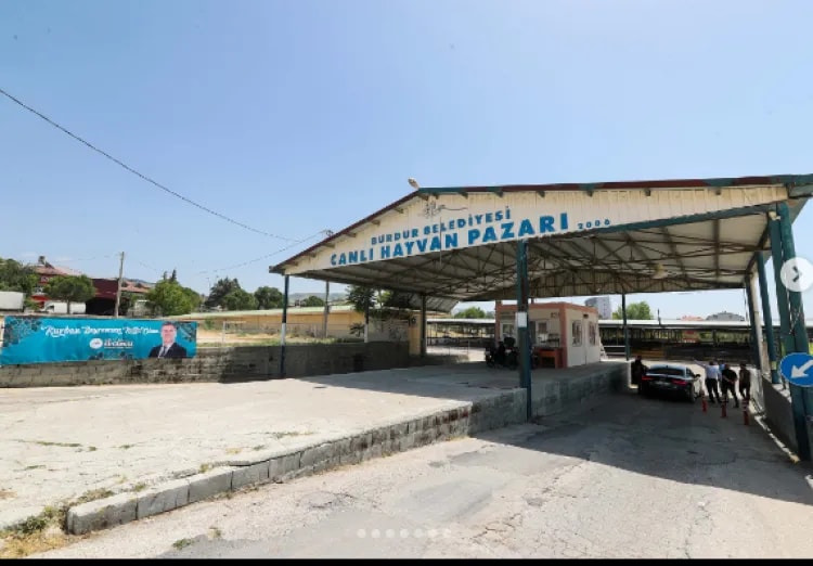 Burdur Canlı Hayvan Pazarı Yeniden Kapatıldı! Şap Hastalığı Alarmı.