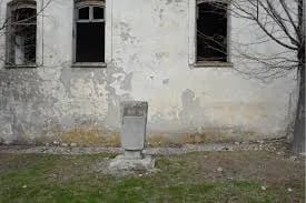 Galeri 5